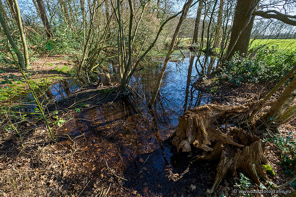 Bekenstelsel rondom Uddel en Elspeet 210320-010