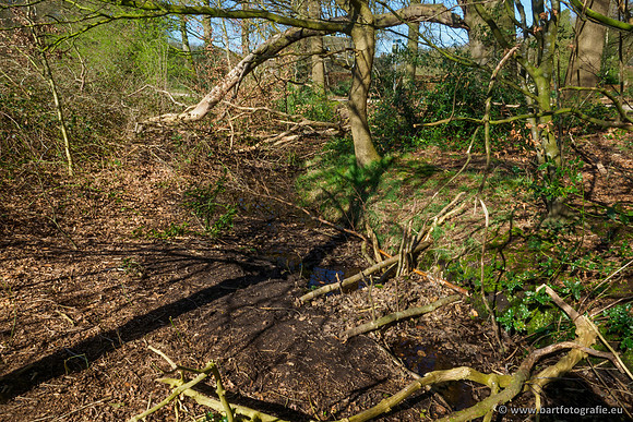 Bekenstelsel rondom Uddel en Elspeet 210320-011