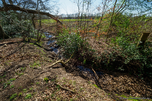 Bekenstelsel rondom Uddel en Elspeet 210320-012