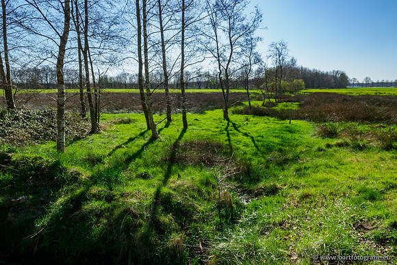 Bekenstelsel rondom Uddel en Elspeet 210320-013