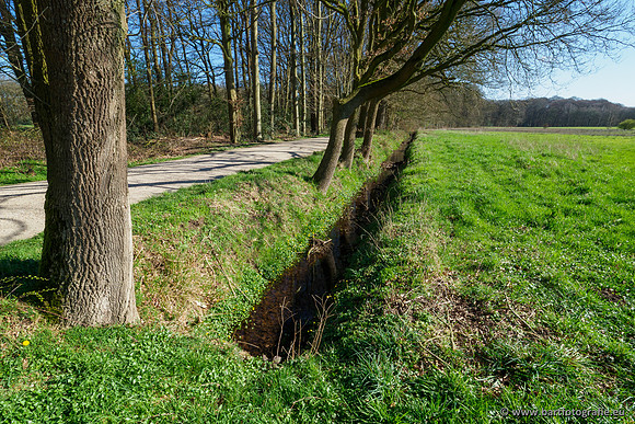 Bekenstelsel rondom Uddel en Elspeet 210320-018