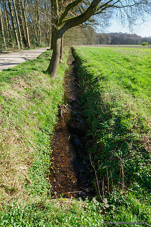 Bekenstelsel rondom Uddel en Elspeet 210320-019