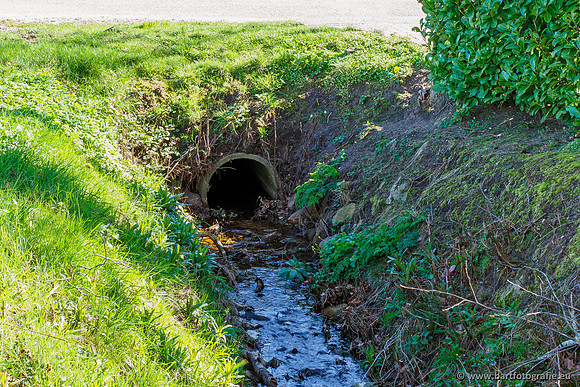 Bekenstelsel rondom Uddel en Elspeet 210320-024