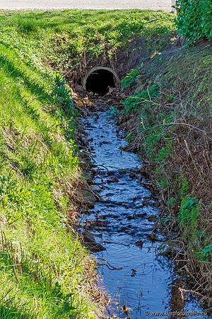 Bekenstelsel rondom Uddel en Elspeet 210320-025