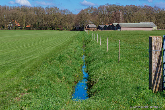 Bekenstelsel rondom Uddel en Elspeet 210320-029