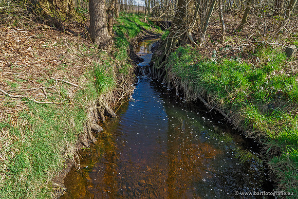 Bekenstelsel rondom Uddel en Elspeet 210320-037