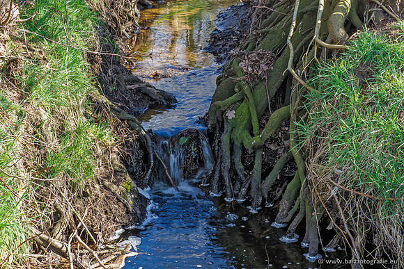Bekenstelsel rondom Uddel en Elspeet 210320-039