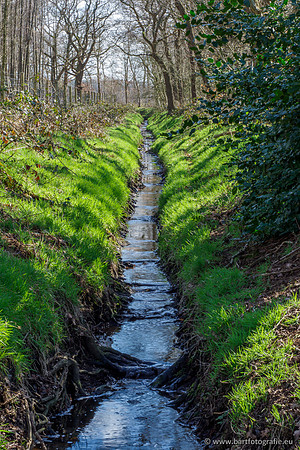 Bekenstelsel rondom Uddel en Elspeet 210320-041