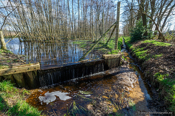 Bekenstelsel rondom Uddel en Elspeet 210320-043