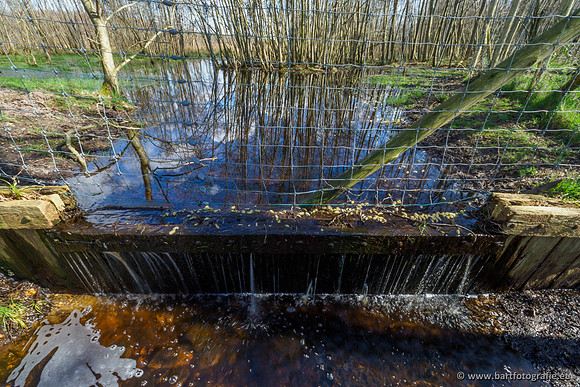 Bekenstelsel rondom Uddel en Elspeet 210320-046