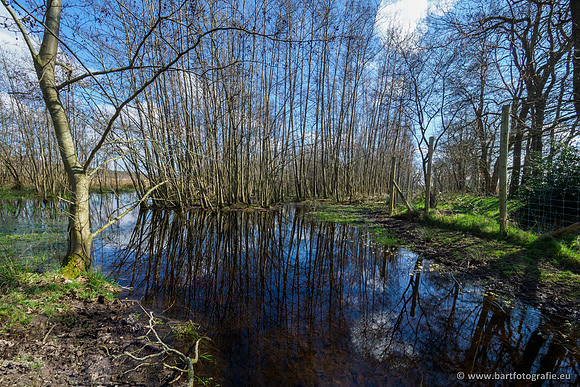 Bekenstelsel rondom Uddel en Elspeet 210320-047