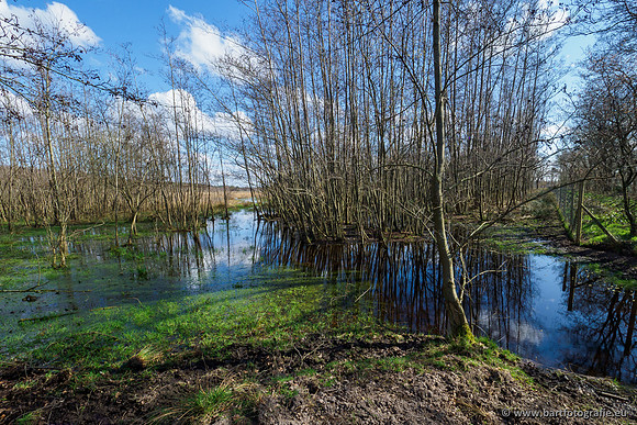 Bekenstelsel rondom Uddel en Elspeet 210320-048