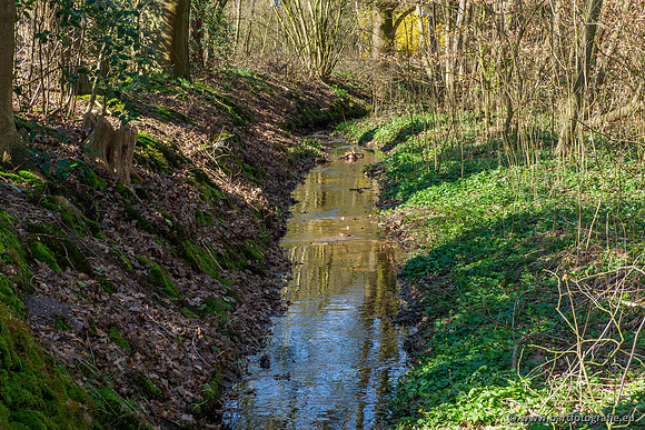Bekenstelsel rondom Uddel en Elspeet 210320-053