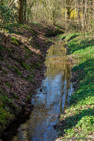 Bekenstelsel rondom Uddel en Elspeet 210320-054