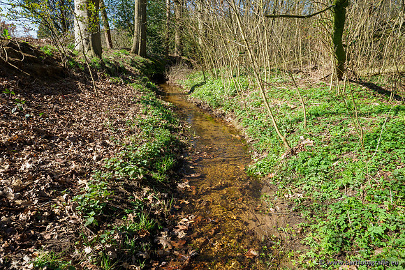 Bekenstelsel rondom Uddel en Elspeet 210320-056