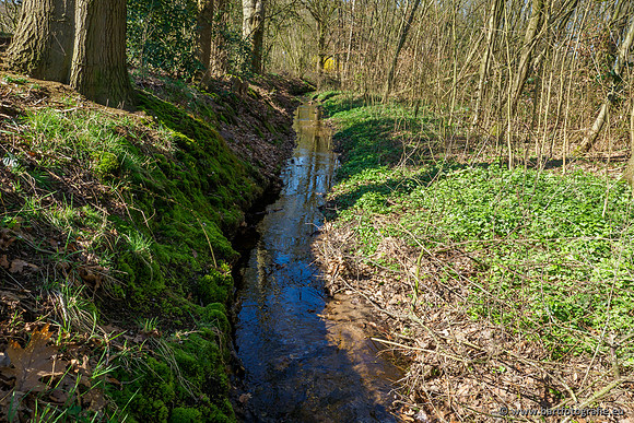 Bekenstelsel rondom Uddel en Elspeet 210320-057