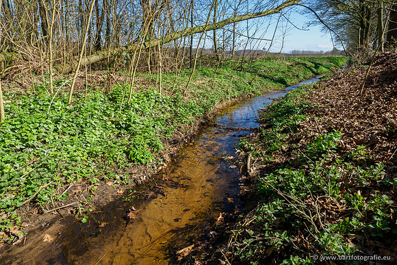 Bekenstelsel rondom Uddel en Elspeet 210320-058