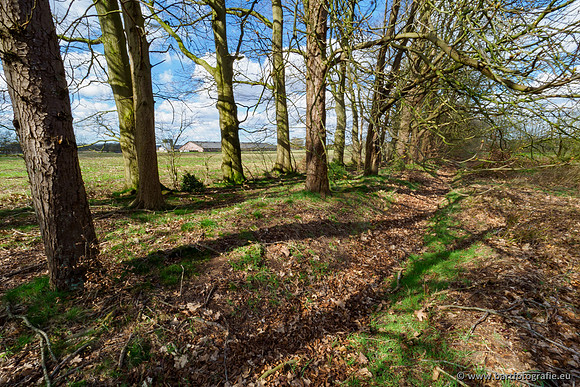 Bekenstelsel rondom Uddel en Elspeet 210320-060