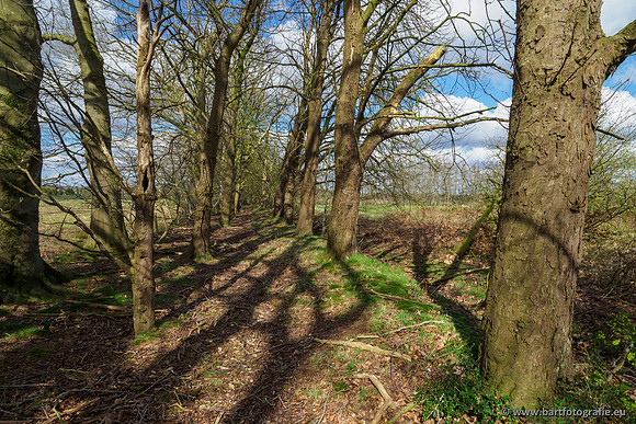 Bekenstelsel rondom Uddel en Elspeet 210320-061