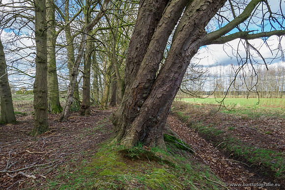 Bekenstelsel rondom Uddel en Elspeet 210320-062