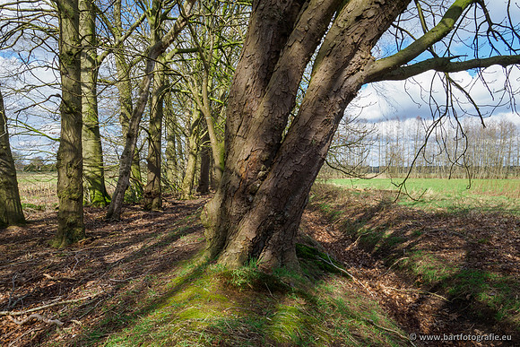 Bekenstelsel rondom Uddel en Elspeet 210320-063