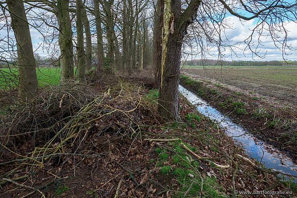 Bekenstelsel rondom Uddel en Elspeet 210320-064