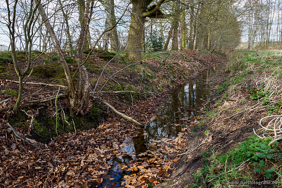 Bekenstelsel rondom Uddel en Elspeet 210320-065