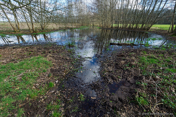 Bekenstelsel rondom Uddel en Elspeet 210320-068