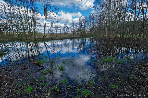 Bekenstelsel rondom Uddel en Elspeet 210320-070