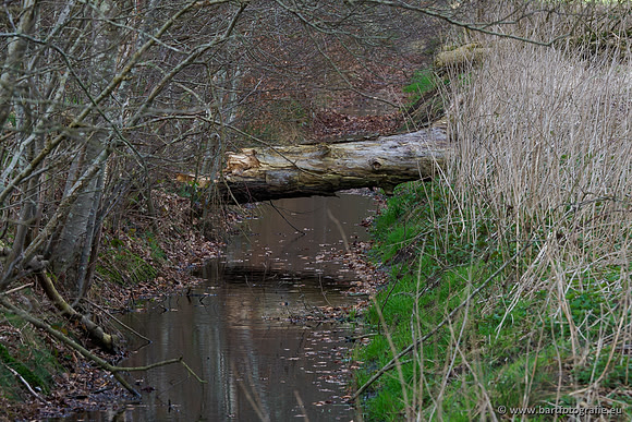 Bekenstelsel rondom Uddel en Elspeet 210320-073