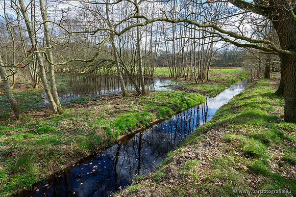 Bekenstelsel rondom Uddel en Elspeet 210320-072