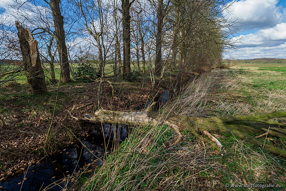 Bekenstelsel rondom Uddel en Elspeet 210320-074