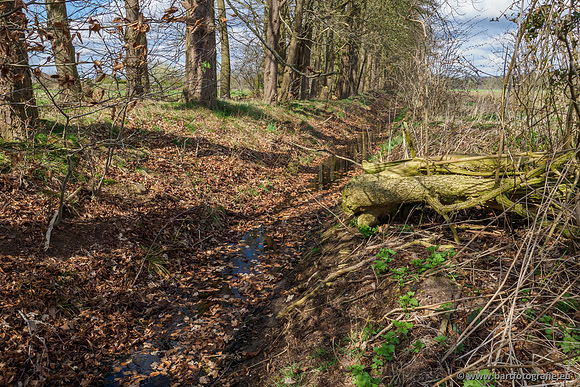 Bekenstelsel rondom Uddel en Elspeet 210320-075