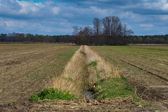 Bekenstelsel rondom Uddel en Elspeet 210320-080