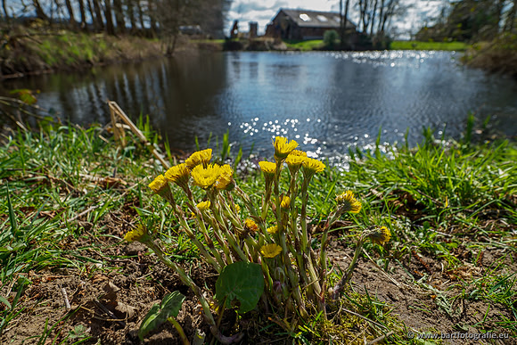 Bekenstelsel rondom Uddel en Elspeet 210320-083