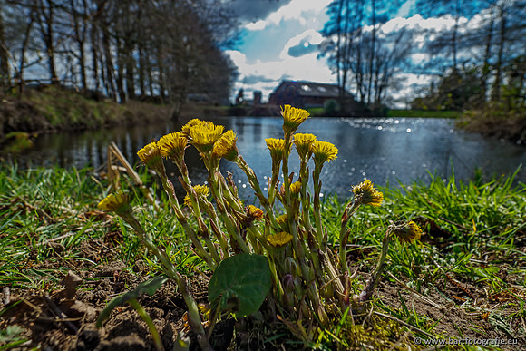 Bekenstelsel rondom Uddel en Elspeet 210320-084