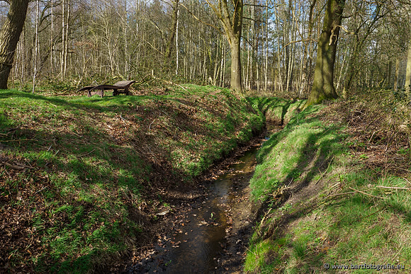 Bekenstelsel rondom Uddel en Elspeet 210320-086