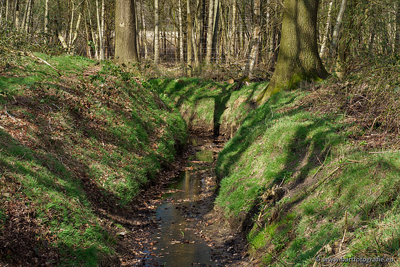 Bekenstelsel rondom Uddel en Elspeet 210320-087