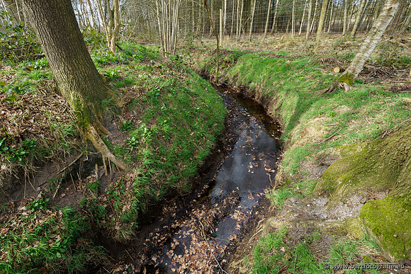 Bekenstelsel rondom Uddel en Elspeet 210320-091