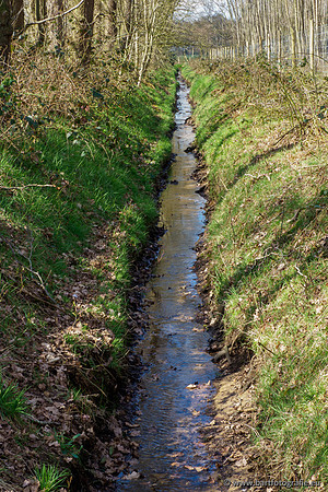 Bekenstelsel rondom Uddel en Elspeet 210320-093