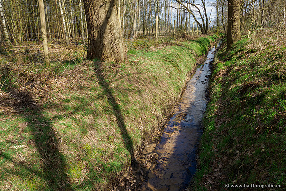 Bekenstelsel rondom Uddel en Elspeet 210320-095
