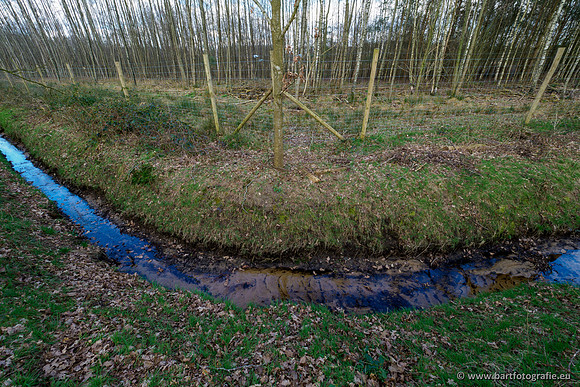 Bekenstelsel rondom Uddel en Elspeet 210320-096