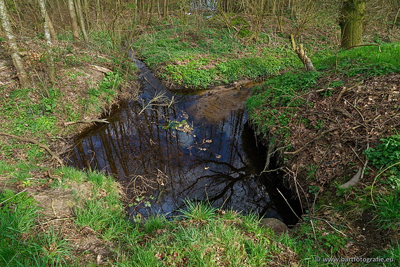 Bekenstelsel rondom Uddel en Elspeet 210320-099