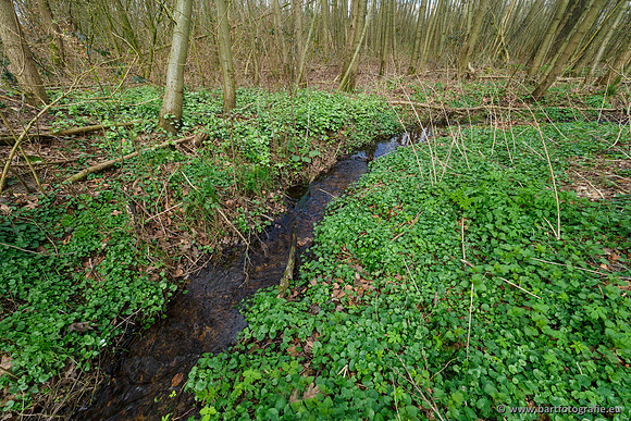 Bekenstelsel rondom Uddel en Elspeet 210320-105