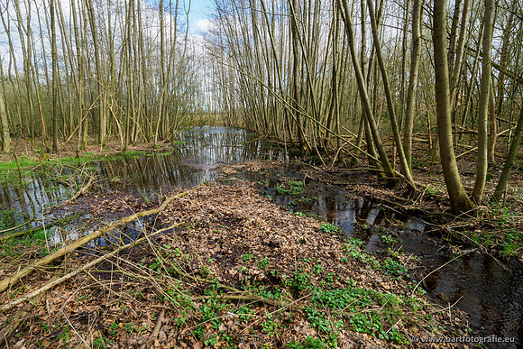 Bekenstelsel rondom Uddel en Elspeet 210320-106