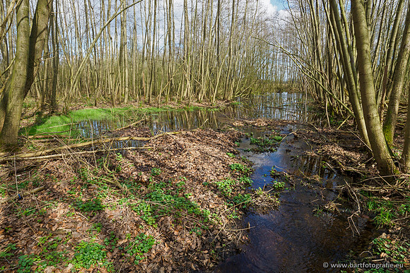 Bekenstelsel rondom Uddel en Elspeet 210320-107
