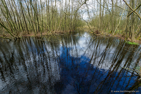 Bekenstelsel rondom Uddel en Elspeet 210320-108