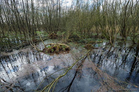 Bekenstelsel rondom Uddel en Elspeet 210320-109