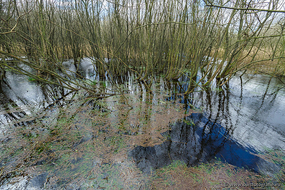 Bekenstelsel rondom Uddel en Elspeet 210320-110