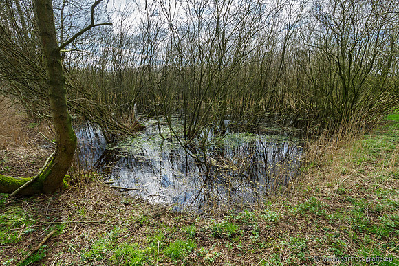 Bekenstelsel rondom Uddel en Elspeet 210320-111